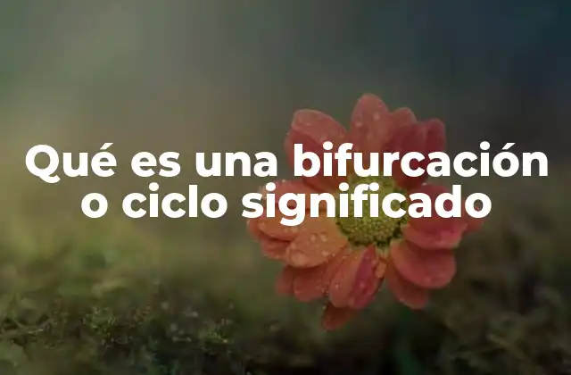 Qué es una Bifurcación o Ciclo Significado