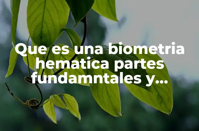 Que es una Biometria Hematica Partes Fundamntales y Utilidad Médica