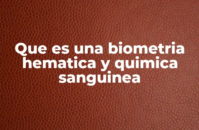 Que es una Biometria Hematica y Quimica Sanguinea 2 El papel de los análisis sanguíneos en la medicina preventiva