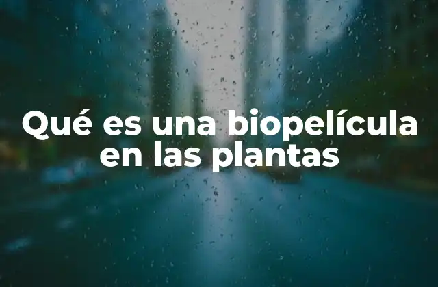 Qué es una Biopelícula en las Plantas