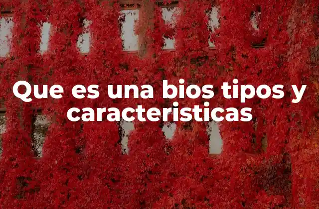 Que es una Bios Tipos y Caracteristicas