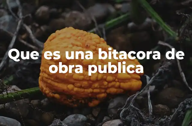 Que es una Bitacora de Obra Publica