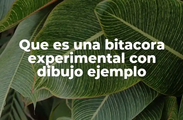 La importancia de los dibujos en una bitácora experimental