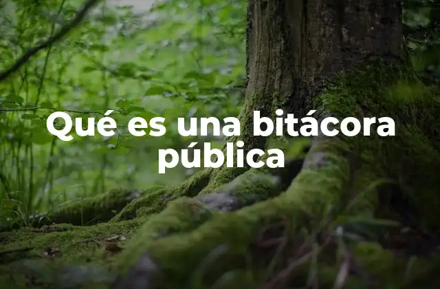 Qué es una Bitácora Pública