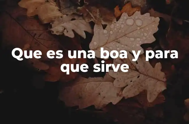 Que es una Boa y para que Sirve