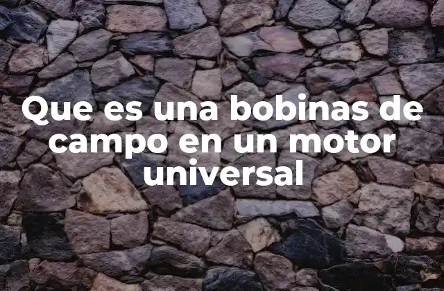 Que es una Bobinas de Campo en un Motor Universal 2 Componentes esenciales de los motores universales