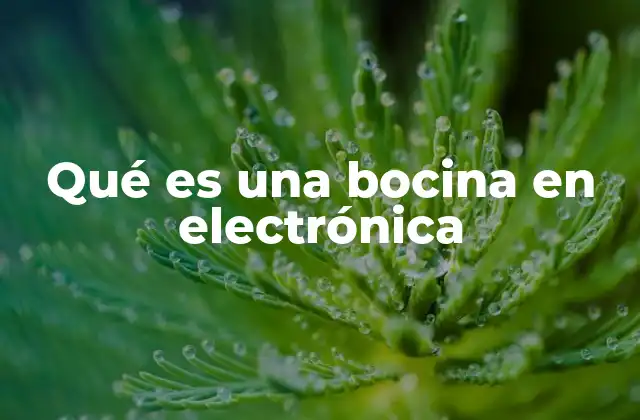 Qué es una Bocina en Electrónica