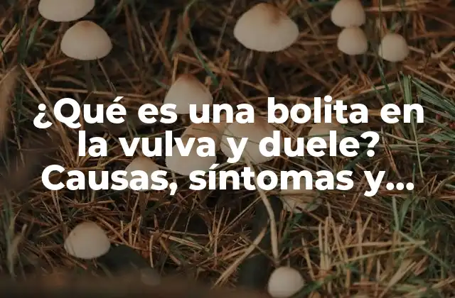 ¿qué es una Bolita en la Vulva y Duele? Causas, Síntomas y Tratamientos