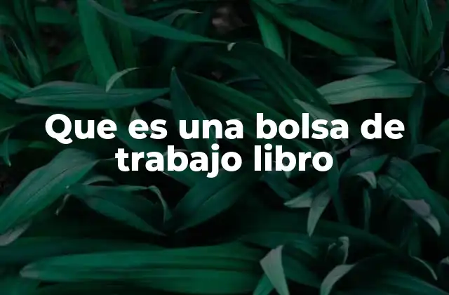 Que es una Bolsa de Trabajo Libro