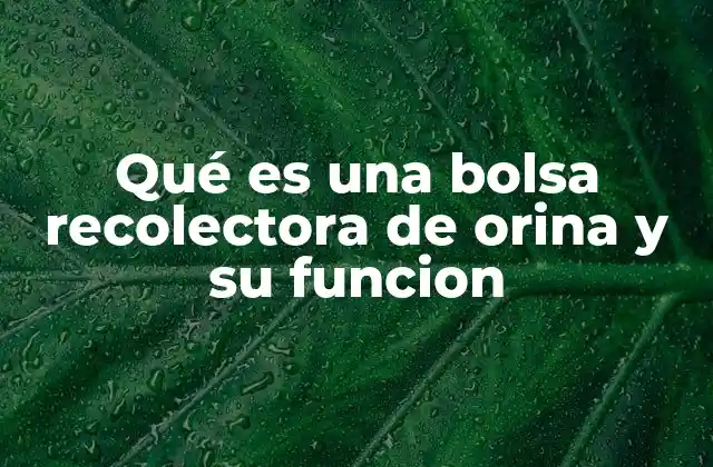 Qué es una Bolsa Recolectora de Orina y Su Funcion