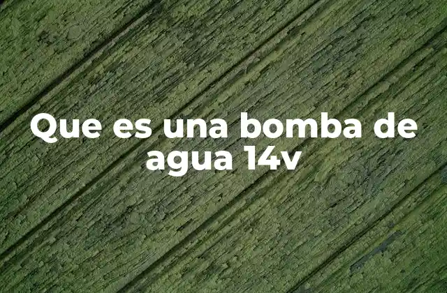 Que es una Bomba de Agua 14v