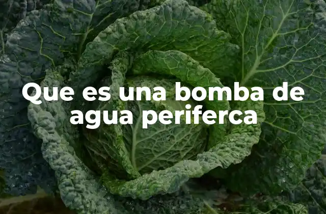 Que es una Bomba de Agua Periferca
