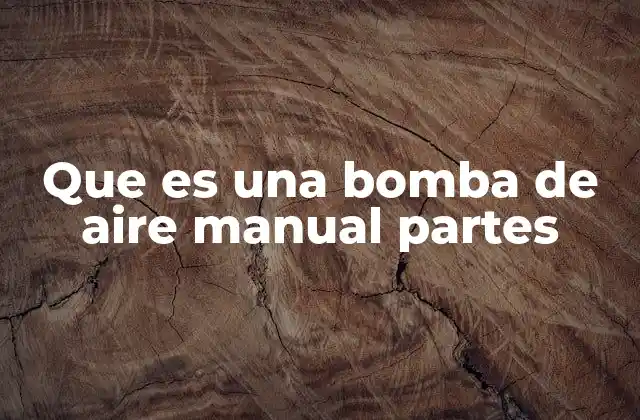Que es una Bomba de Aire Manual Partes