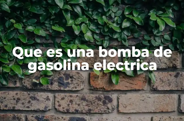 Que es una Bomba de Gasolina Electrica