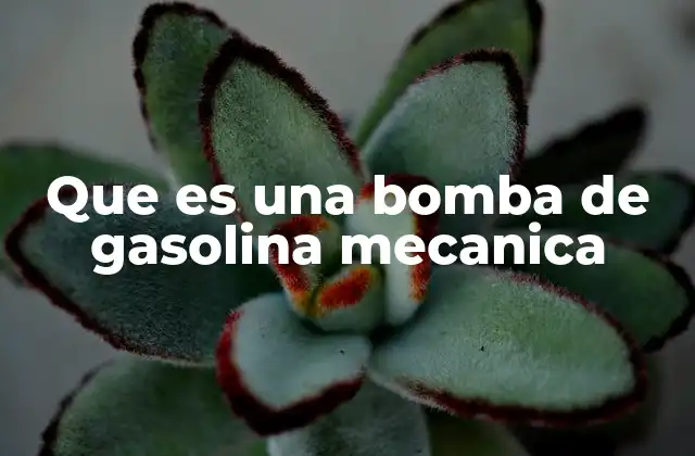 Que es una Bomba de Gasolina Mecanica