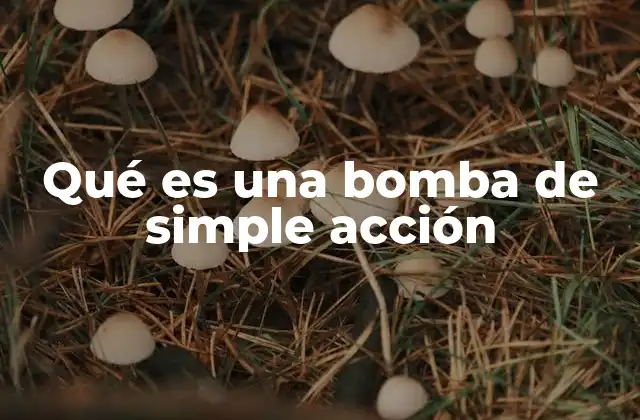 Qué es una Bomba de Simple Acción