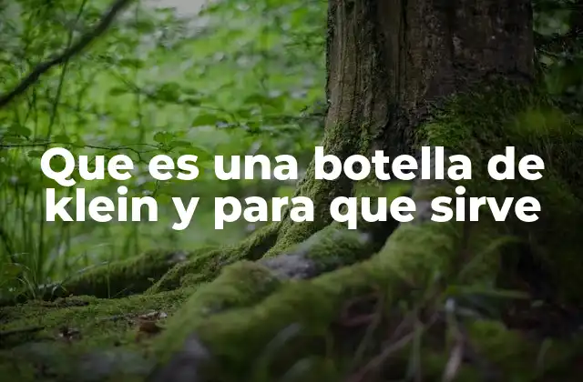 Que es una Botella de Klein y para que Sirve