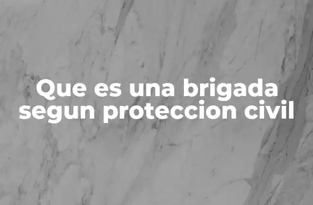 Que es una Brigada Segun Proteccion Civil 2 El rol de los grupos de respuesta en emergencias