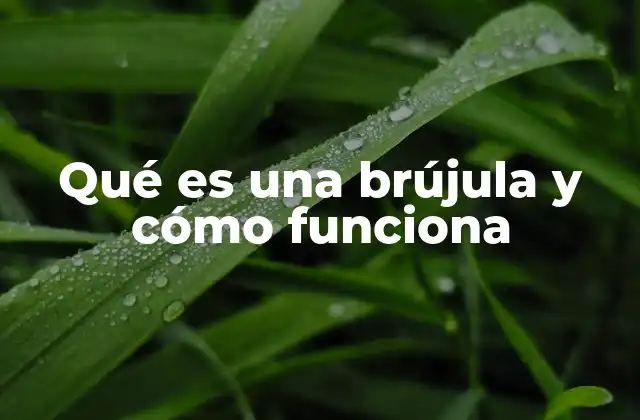 Qué es una Brújula y Cómo Funciona
