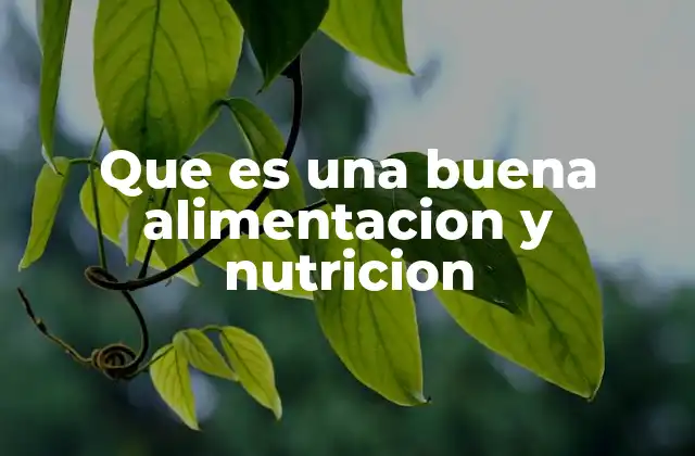 Que es una Buena Alimentacion y Nutricion