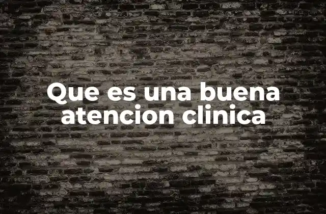 Que es una Buena Atencion Clinica