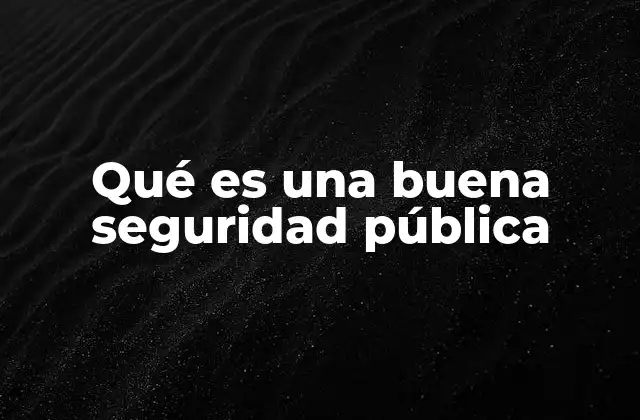 Qué es una Buena Seguridad Pública