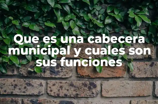 Que es una Cabecera Municipal y Cuales Son Sus Funciones