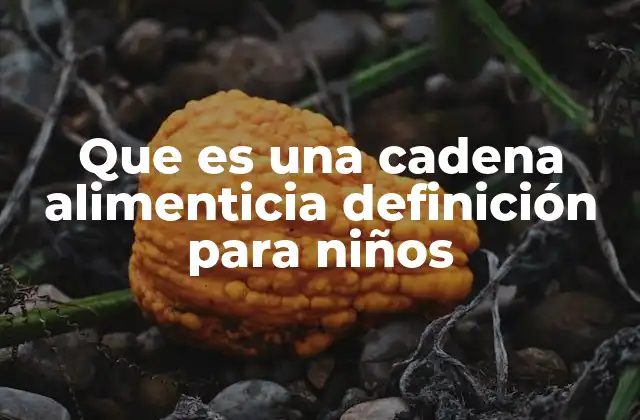 Que es una Cadena Alimenticia Definición para Niños