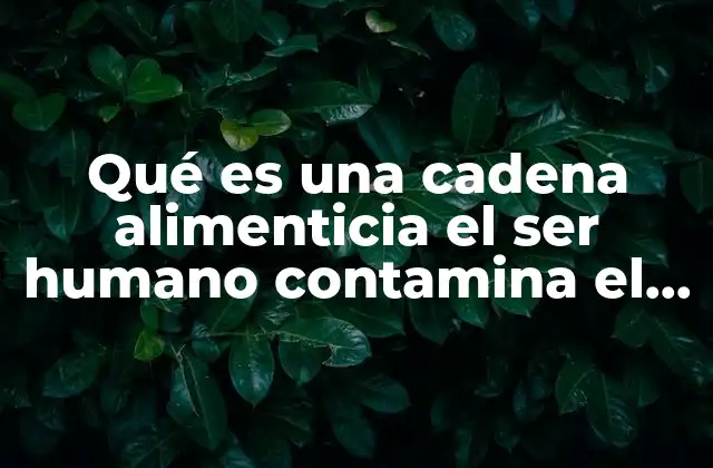 Qué es una Cadena Alimenticia el Ser Humano Contamina el Ambiente