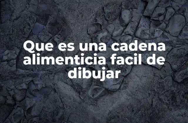 Cómo representar la energía en un ecosistema