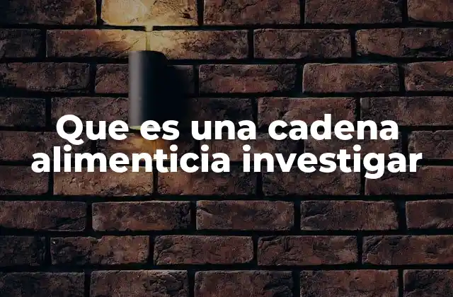La estructura básica de una cadena alimenticia