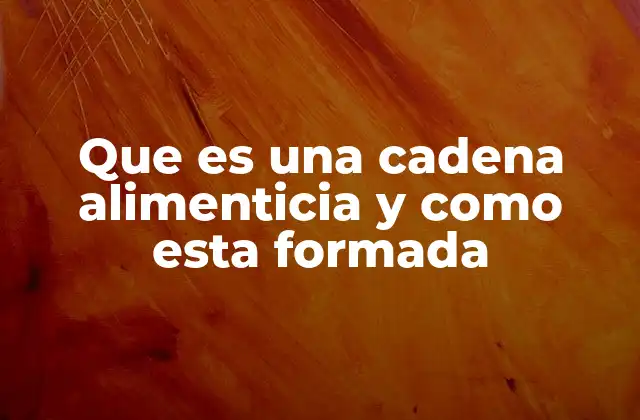 Que es una Cadena Alimenticia y como Esta Formada