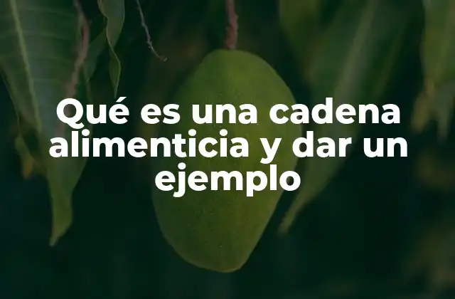 Qué es una Cadena Alimenticia y Dar un Ejemplo