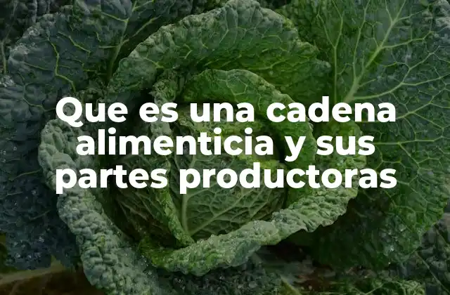 Que es una Cadena Alimenticia y Sus Partes Productoras