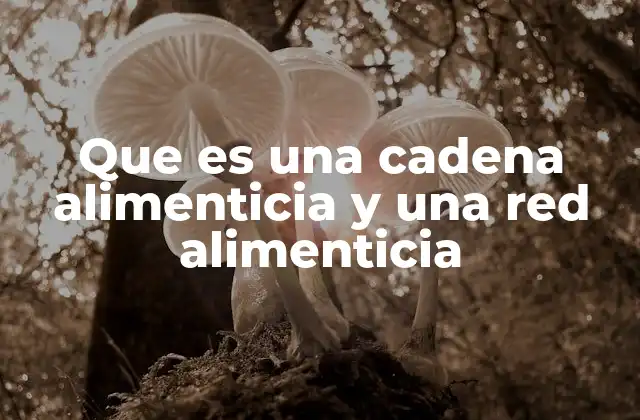 Que es una Cadena Alimenticia y una Red Alimenticia