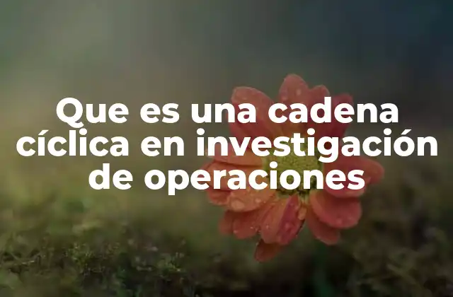 Que es una Cadena Cíclica en Investigación de Operaciones