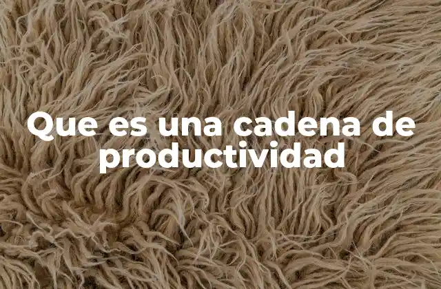 Que es una Cadena de Productividad