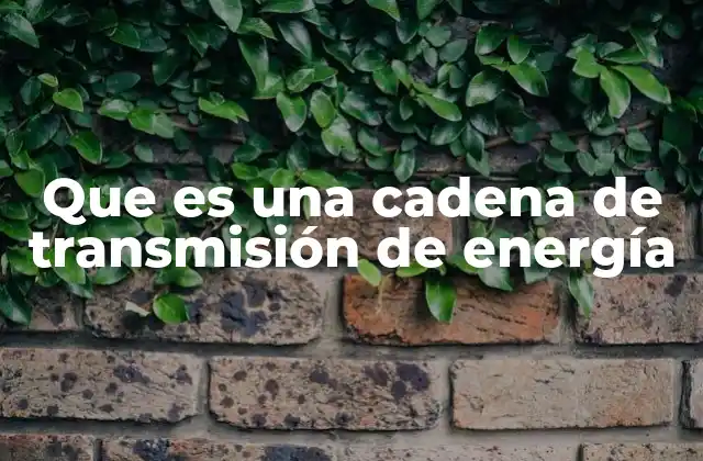 Que es una Cadena de Transmisión de Energía