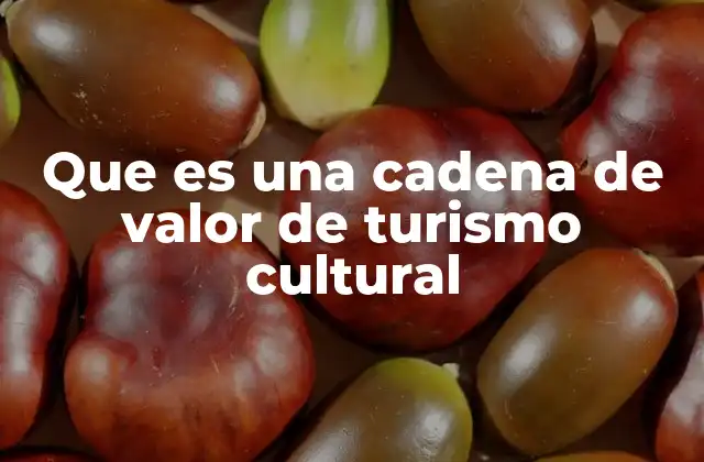 Que es una Cadena de Valor de Turismo Cultural