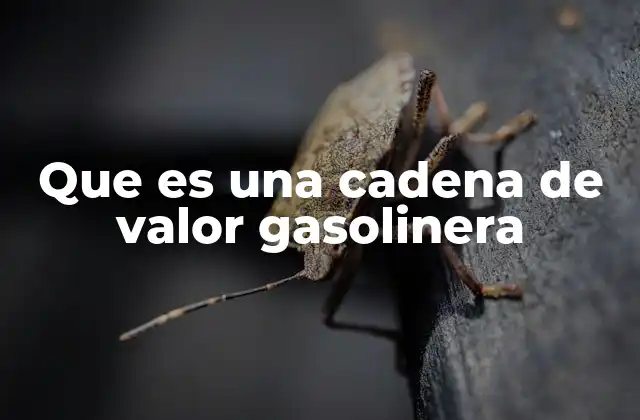 Que es una Cadena de Valor Gasolinera