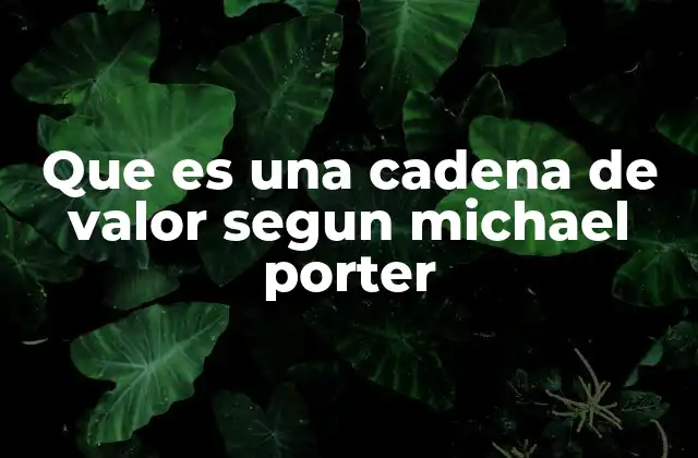 Que es una Cadena de Valor Segun Michael Porter