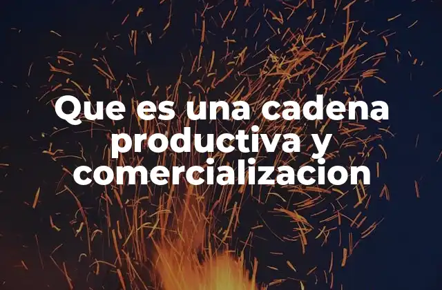 Que es una Cadena Productiva y Comercializacion