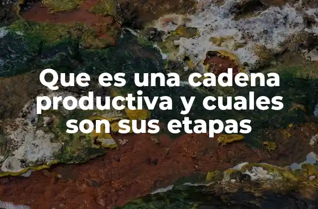 Que es una Cadena Productiva y Cuales Son Sus Etapas