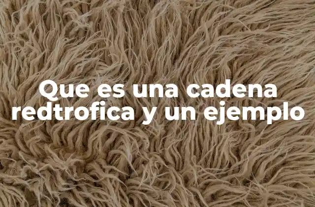 Que es una Cadena Redtrofica y un Ejemplo