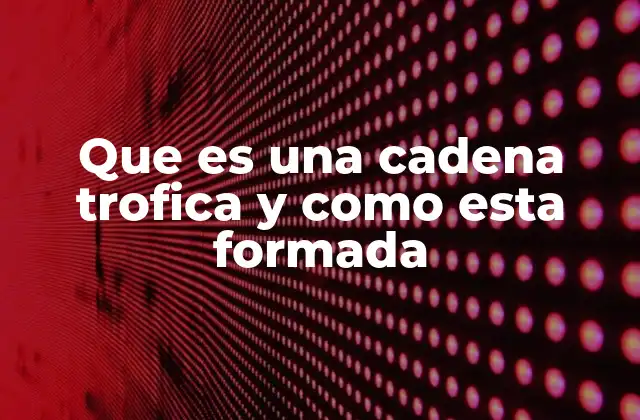 Que es una Cadena Trofica y como Esta Formada