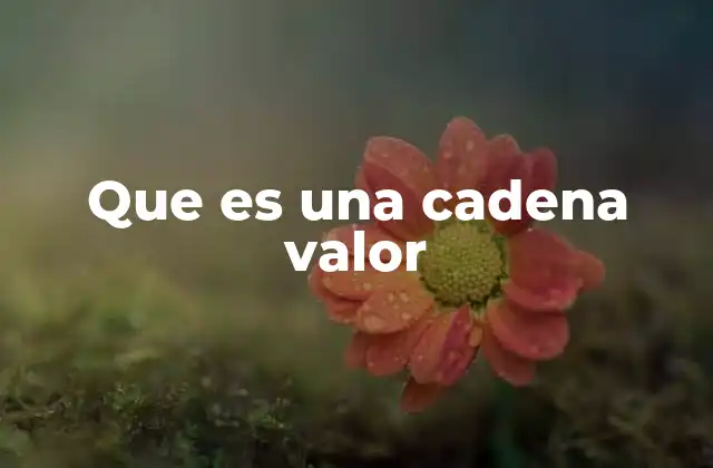Que es una Cadena Valor