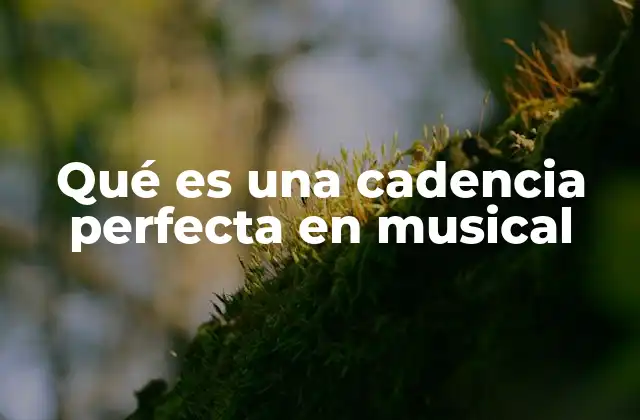 Qué es una Cadencia Perfecta en Musical