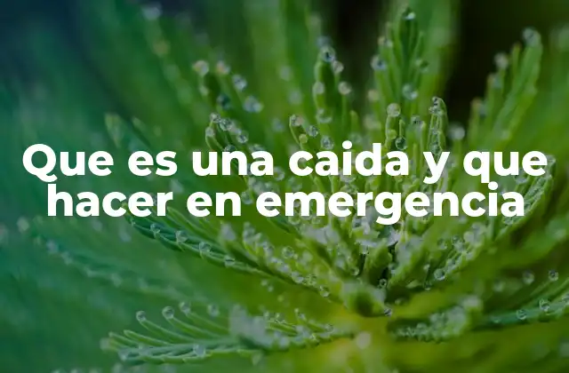 Que es una Caida y que Hacer en Emergencia