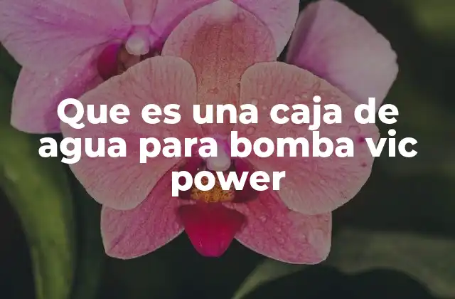 Que es una Caja de Agua para Bomba Vic Power
