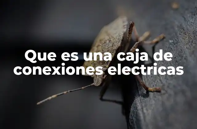 La importancia de los puntos de derivación en la instalación eléctrica